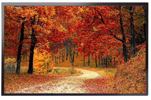 65吋 電容式多點觸控螢幕 AIM-6501CPL-TC