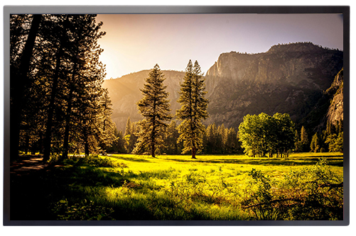 75吋 4K紅外線多點觸控螢幕 AIM-7506IGT-T