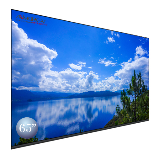 65吋高亮工業等級顯示器 AIM-6508IPL-H